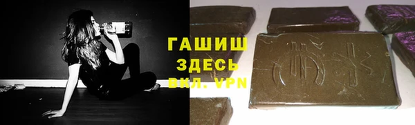 хмурый Няндома