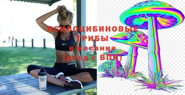 герыч Осинники