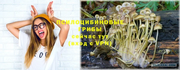 герыч Осинники