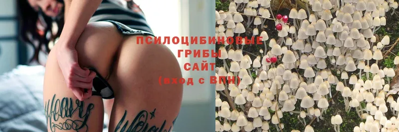 Псилоцибиновые грибы MAGIC MUSHROOMS  Агрыз 