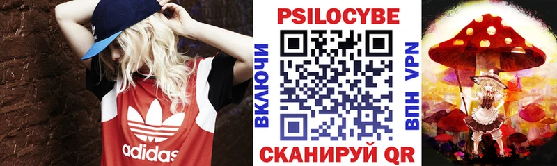 мега   Агрыз  Псилоцибиновые грибы Cubensis 