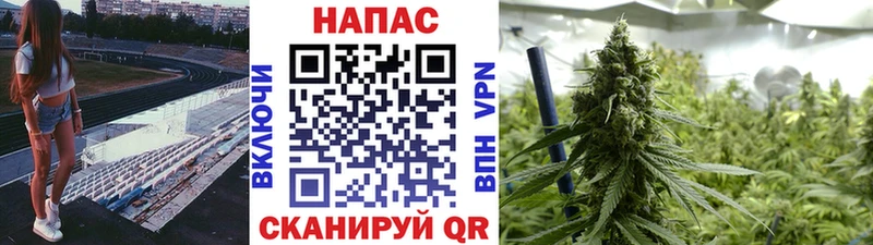 Каннабис гибрид  купить наркоту  Агрыз 